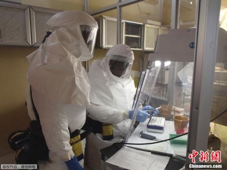 　　图为位于美国马里兰州德特里克堡的美国陆军传染病医学研究所(USAMRIID)的技术人员，在一个遏制埃博拉病毒的实验室里进行化验。