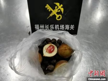 　福州长乐机场海关截获的肉豆蔻种子。福州海关供图