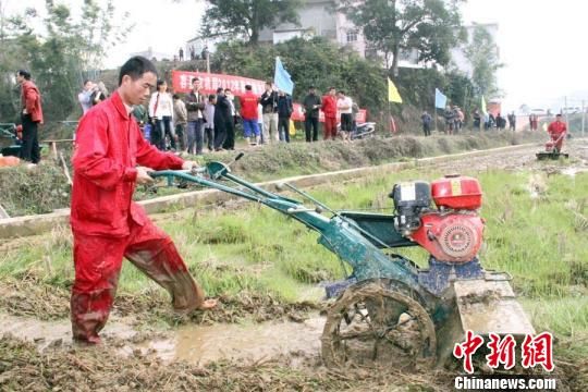 图为侨乡广西玉林市容县农机下田开犁。　李涛　摄