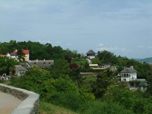 蒂豪尼半岛