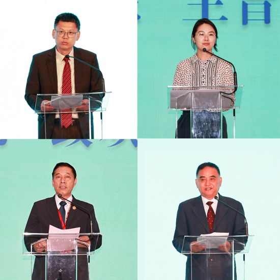 中国和统会副秘书长许友滋、中国驻匈使馆领侨处主任赵丹妮、匈牙利中国统促会会长余美明、匈华总会执行主席刘文建先后发言。