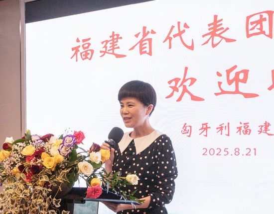 中国驻匈牙利大使馆李佳公参致辞